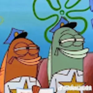 Meet your Posher, Robin